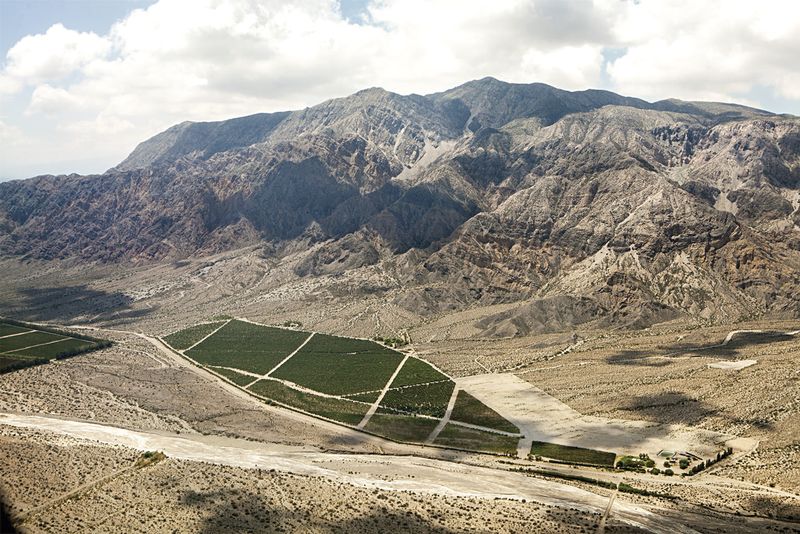 Finca La Ciénaga en el Valle del Zonda, San Juan, obtiene la distinción de nueva Indicación Geográfica del vino