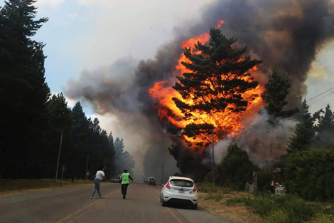 CAME solicita tratamiento de proyecto de ley que declare la emergencia en Río Negro y Chubut